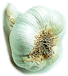 Garlic - Head